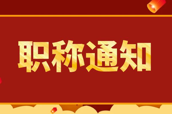 盐城浙江省人力资源和社会保障厅关于印发 《浙江省职称评审管理实施办法》（试行）的通知